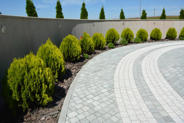 Best Driveway Paving Contractor  in Country Clu, FL